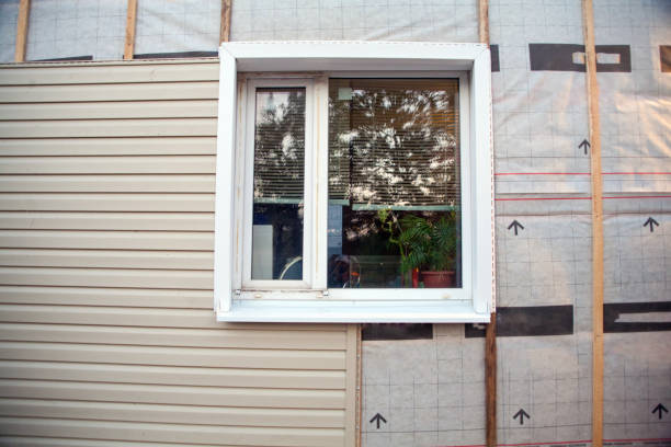 Best Siding Painting and Refinishing  in Lannon, WI