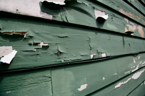 Best James Hardie Siding  in Lannon, WI