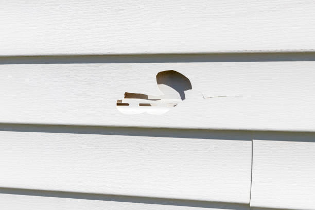 Affordable siding repair and maintenance services in Lannon, WI