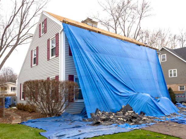 Best Stone Veneer Siding  in Lannon, WI